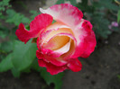 DSCN2063