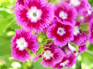 DSCN2680
