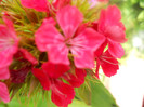 DSCN2681
