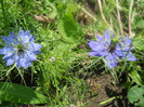 DSCN2682