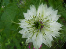 DSCN2684