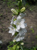 DSCN2696