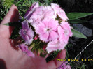 IMG00152