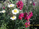 IMG00171
