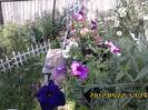 IMG00178