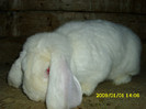 Picture 140
