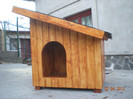 DSCN4288