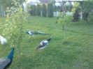 P230512_20.250003
