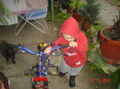 poze 735