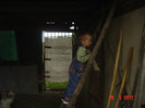 poze 754