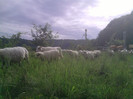 P260512_08.57