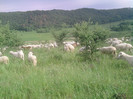 P260512_08.57_[01]