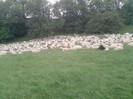 P260512_13.39_[01]