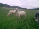 P260512_15.58_[01]