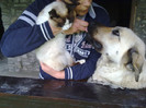 Tara si Felix 26.05.2012