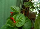 DSCN6476