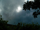 DSCN6502