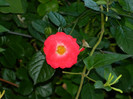 DSCN6569