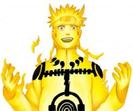 images (7)