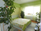 DSCN4137
