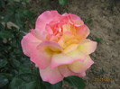 Picture 055