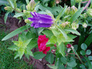 P1010408