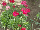 Copy of ppp 026