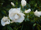 P1140028