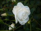P1140029