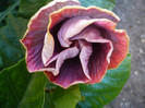 P1140031