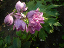 P1140034