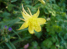 P1140041