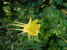 P1140042