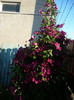 P1140044