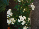 P1140054