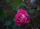 P1140071