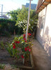P1140074