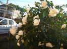 P1140076