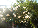 P1140077