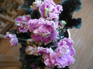 P1140090