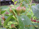 DSCN1216