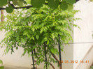 DSCN1198