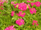 DSCN1205