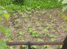 DSCN1199