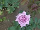 Lugdunum