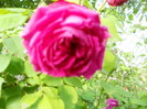 DSCN3416