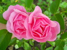 DSCN3417