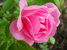 DSCN3419