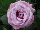DSCN3438