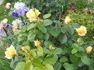 DSCN3437
